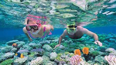 Great Barrier Reef Tours Port Douglas | Snorkel & Dive Tours