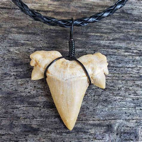 Otodus Shark Tooth Necklace | Sharksteeth.com