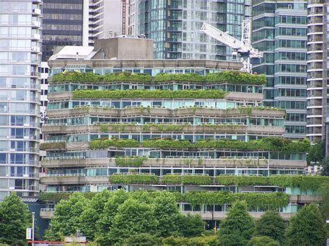 Innovative Green Roofs for Healthy Cities