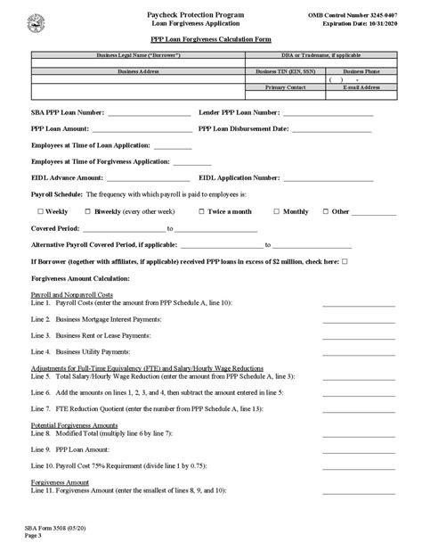 Loan Forgiveness Application Sba - Printable Form 2024