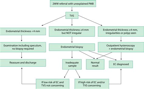 Pathophysiology Of Endometrial Cancer