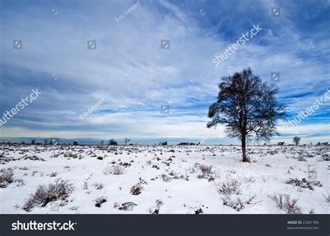 Beautiful Winter Landscape In The Ardennes, Belgium Stock Photo ...