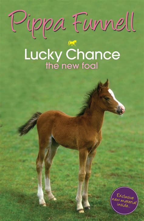 Tilly's Pony Tails: Lucky Chance the New Foal: Book 5 by Pippa Funnell - Books - Hachette Australia