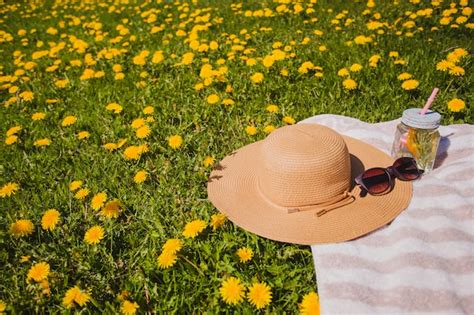 Free Photo | Picnic in the countryside with summer elements