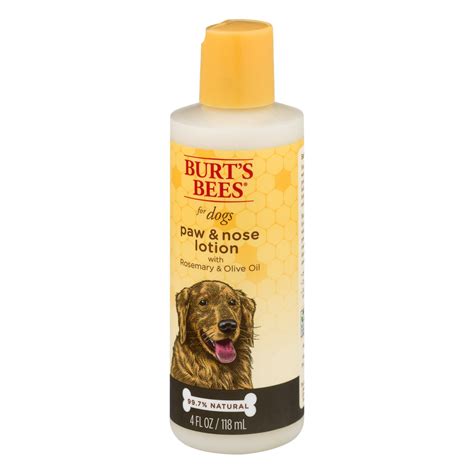 Can You Use Regular Lotion On Dogs