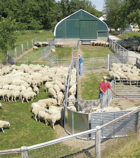 Handling Systems - Premier1Supplies Sheep Guide