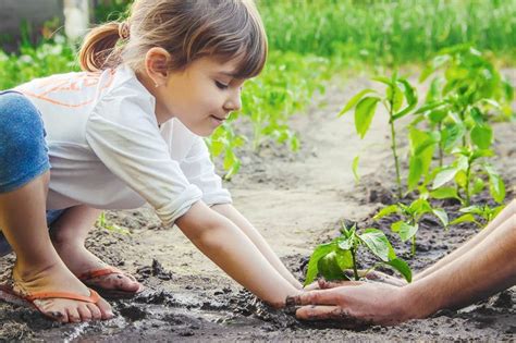 How Gardening Helps Kids Grow: 25 Ways It Benefits Their Development - Get the Kids Outside