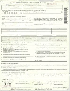 IN THE CIRCUIT COURT OF COOK COUNTY - Fill and Sign Printable Template ...