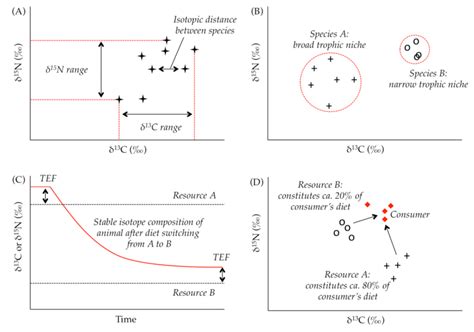 Basic principles for interpreting stable isotope data. (A) Measuring ...