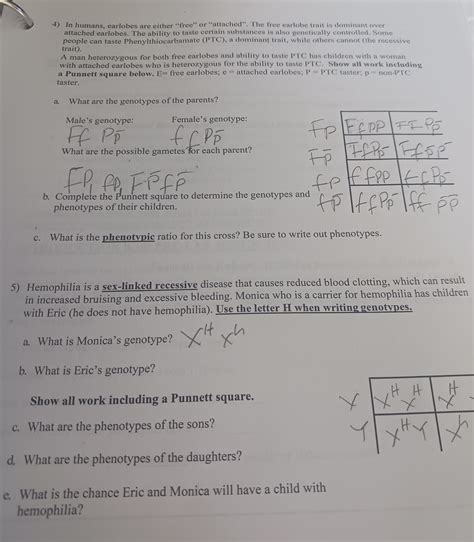 4) In humans, earlobes are either "free" or | Chegg.com