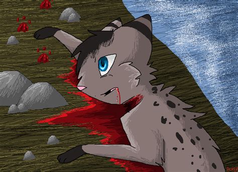 Ashfur's Death. by Chipgirl555 on DeviantArt