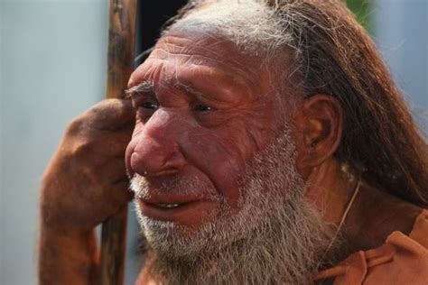 How much Neandertal DNA do today's African peoples have?