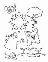 Seeds Coloring Page Preschool Pages sketch template