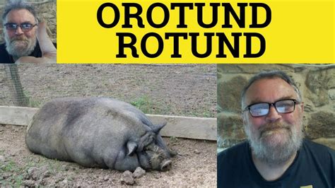 🔵 Rotund Meaning - Orotund Explained . Rotund Examples - Formal Vocabulary - Rotund and Orotund ...