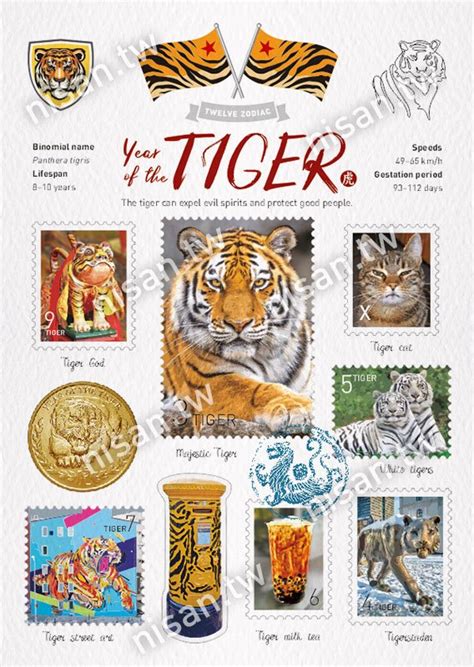 Postcard WT - Year of the Tiger - Nisan Design