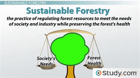 Environmental Sustainability | Definition, Objectives & Examples ...