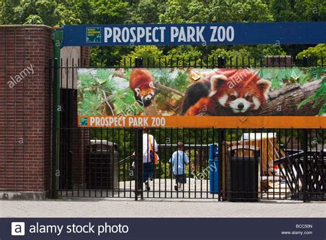 Prospect Park Zoo | Animal Database | Fandom