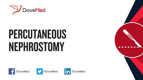 Percutaneous Nephrostomy