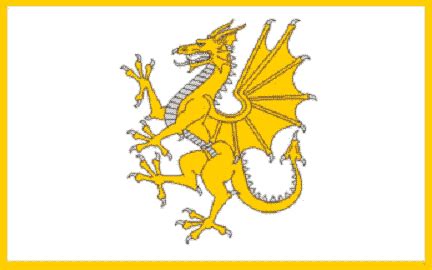 Welsh ''Golden Dragon'' Flag | Flags | Stronghold Nation