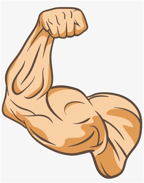 Muscle Clip Art - Muscle Clip Art Png - 2363x2898 PNG Download - PNGkit