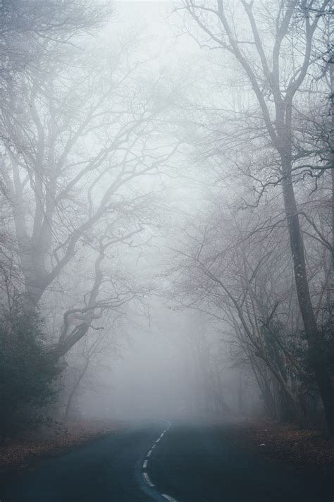 Foggy Weather Wallpapers - 4k, HD Foggy Weather Backgrounds on WallpaperBat