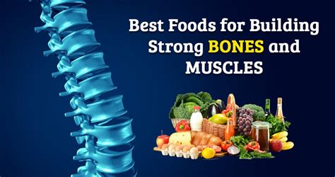 Foods for Building Strong Bones and Muscles - Reaching World Live