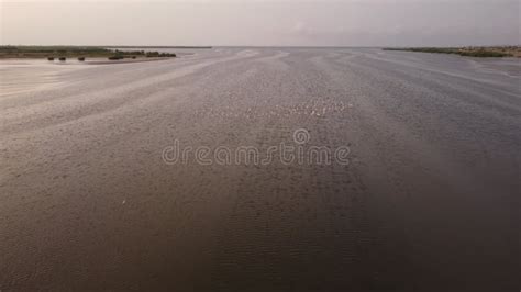 Aerial View of Flamingos Flying Over the Ocean at Sunset in Mussulo Bay, Luanda, Angola Stock ...