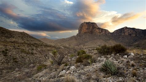 Guadalupe Mountains National Park | Audubon