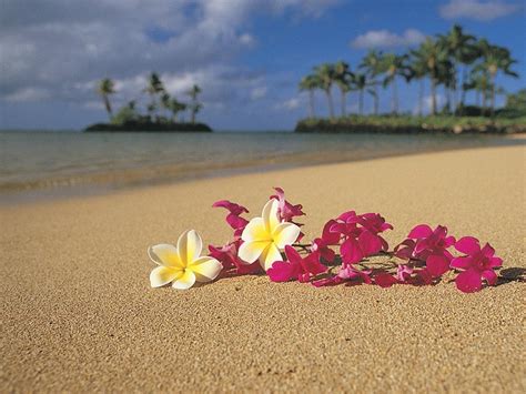 Hawaii Backgrounds Image - Wallpaper Cave