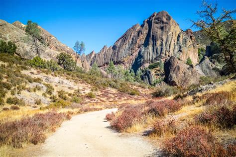 10 Best Monterey Hiking Trails near California's Central Coast | The Adventures of Panda Bear