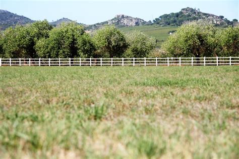 Open farm field stock photo. Image of scenic, agricultural - 4626718