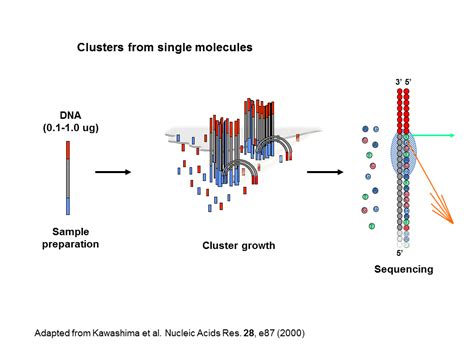 Evolution of Sequencing Technology - Shankar Balasubramanian - Early ...