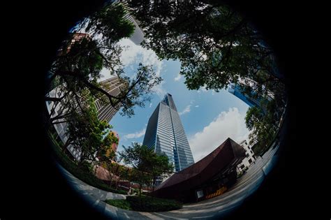 Complete Guide to the Fisheye Lens And How It Works - Photography Project