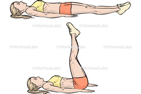 Lying Leg Raises / Lifts – WorkoutLabs Exercise Guide