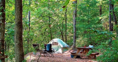 Cabins & Camping - Brevard NC, Dupont Forest, Pisgah Forest, Land of ...