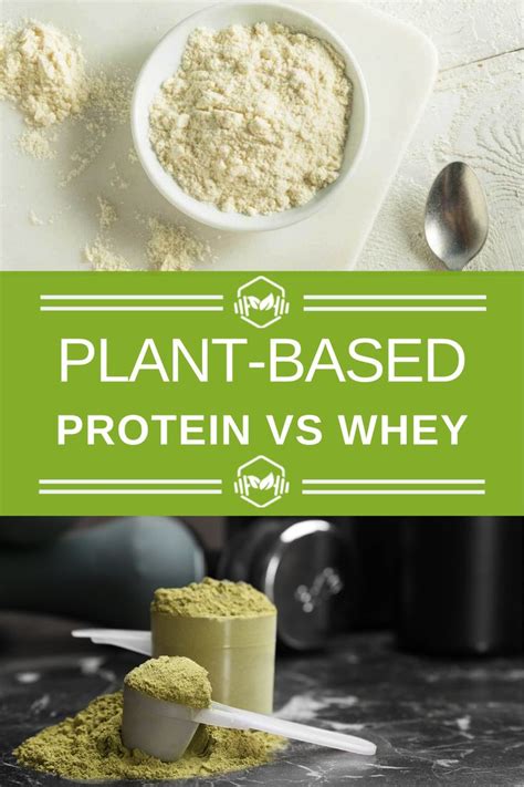 Plant-Based Protein vs Whey What’s the Difference and Which Is Better? | Vegan protein powder ...