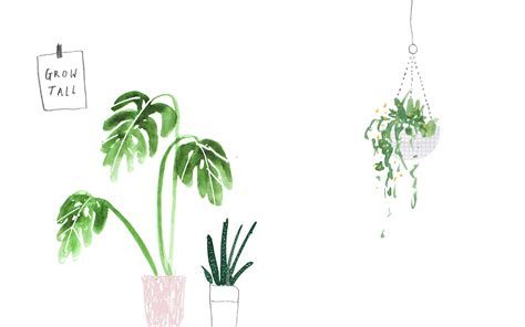 Plant Aesthetic Desktop Wallpapers - Top Những Hình Ảnh Đẹp