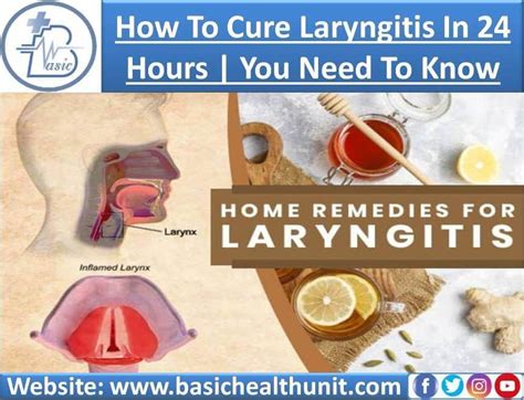 How To Cure Laryngitis In 24 Hours You Need To Know | by Muhammad ...