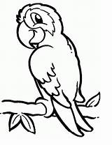 Parrots coloring Pages To Download And Print For Free sketch template