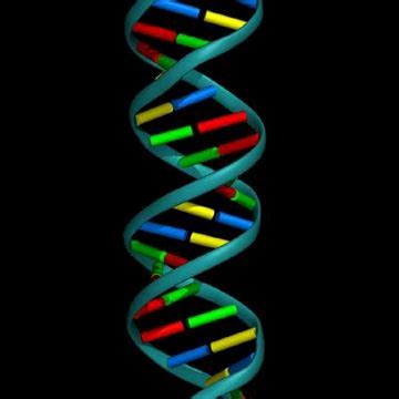 Dna Helix Art - ClipArt Best