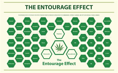 Understanding The Entourage Effect | SōRSE Technology