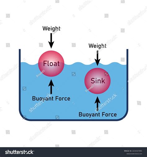 Buoyant Force Experiment Diagram Law Floatation Stock Vector (Royalty Free) 2214327091 ...