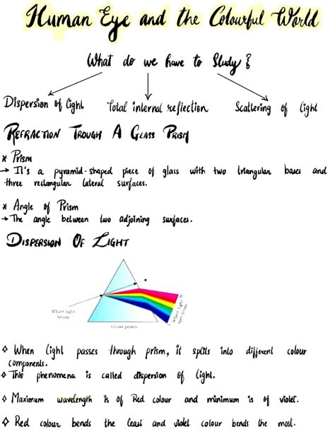 Human eye and colourful world notes class 10 - Studypur