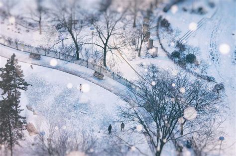 Snowy Toronto – Bing Wallpaper Download