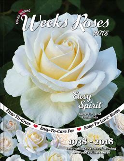 Weeks Roses • Wholesale Rose Grower