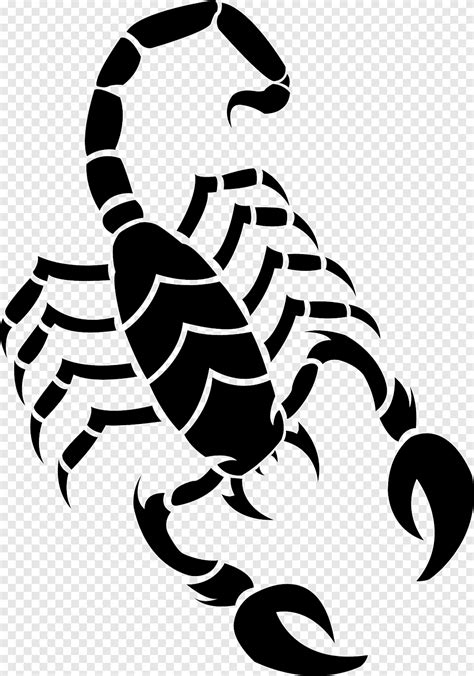 Scorpion Drawing, Scorpion tattoo silhouette, pavoukovec, umění png ...