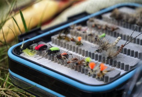 The Best Fly Boxes on the Market (2023 Buyer's Guide) - Into Fly Fishing