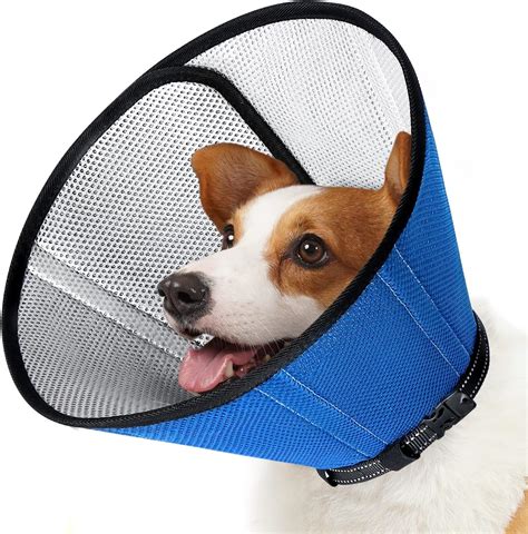 Amazon.com : Aomas Soft Dog Cone for Dogs After Surgery, Lightweight ...