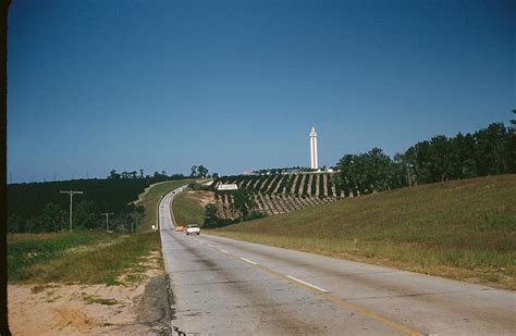 Florida Citrus Tower: Early Attraction Soars Above the Rest