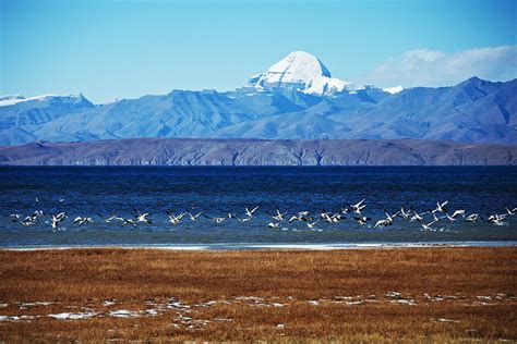 Holy Mountain and Lake in Ngari – Tibet Train Blog